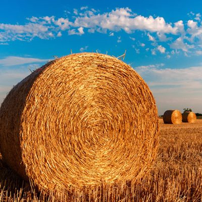 Services---Farm-Supplies